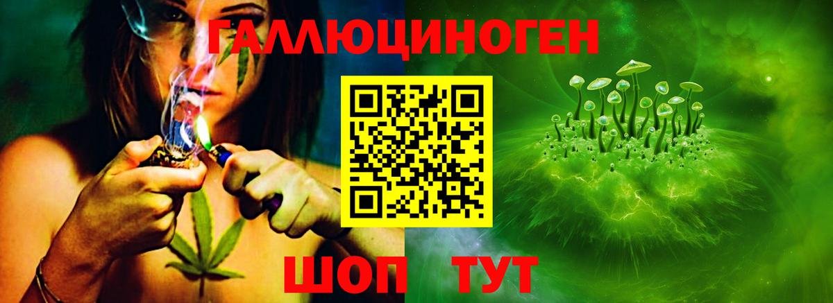 Псилоцибиновые грибы прущие грибы Шахты